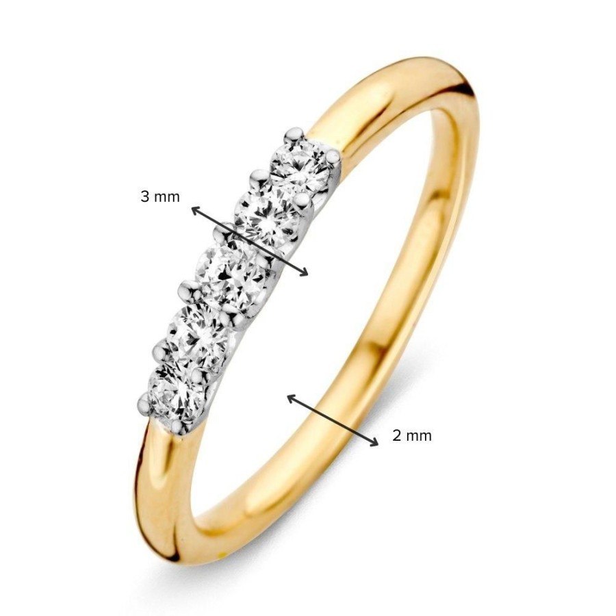 Ringen Excellent Jewelry | Ring Bicolor Zirkonia