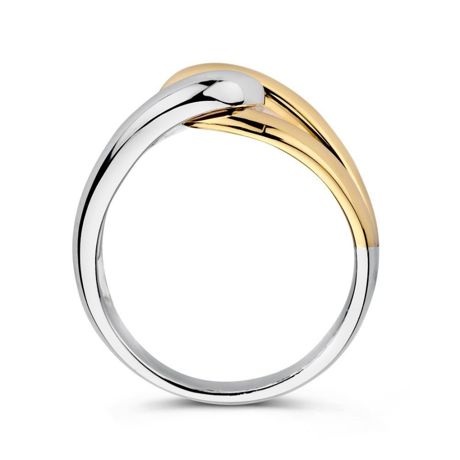 Ringen Excellent Jewelry | Ring Zilver/Goud