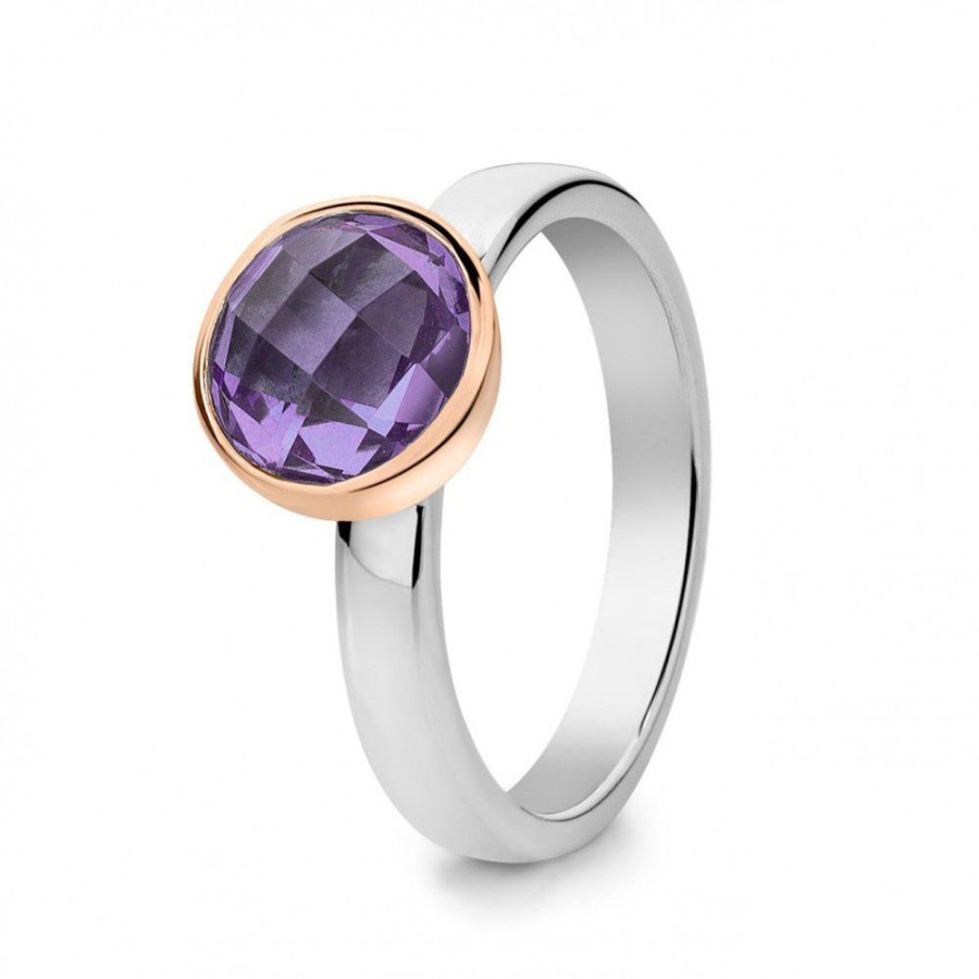 Ringen Excellent Jewelry | Ring Zilver/Goud Amethist