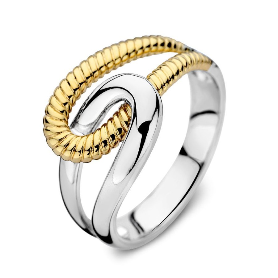 Ringen Excellent Jewelry | Ring Zilver/Goud