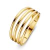 Ringen Excellent Jewelry | Ring Geelgoud